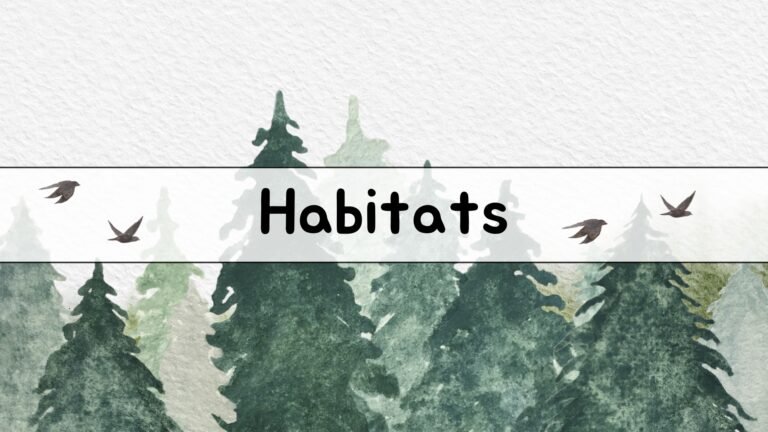 Habitats